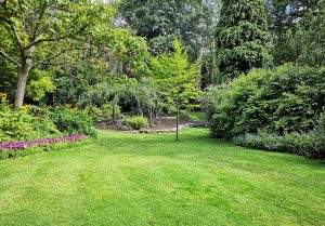 Optimiser l'expérience du jardin à Marcilly-le-Chatel